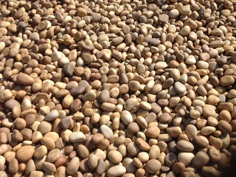 Beige River Pebbles