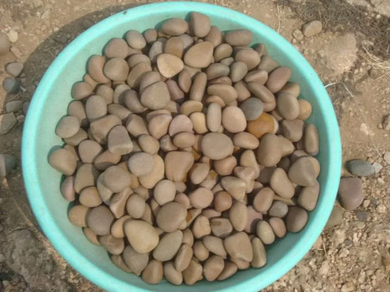 brown-natural-river-round-pebbles-stone-landscaping-supplier-wholesaler