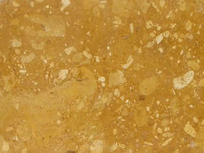 Fossil Gold Limestone