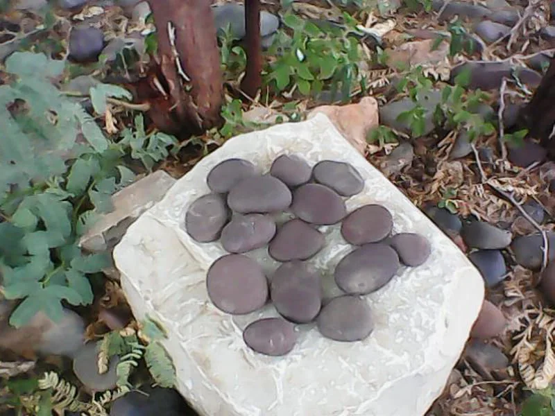 chocolate-coco-color-landscape-river-natural-pebbles-supplier-exporter-wholesaler