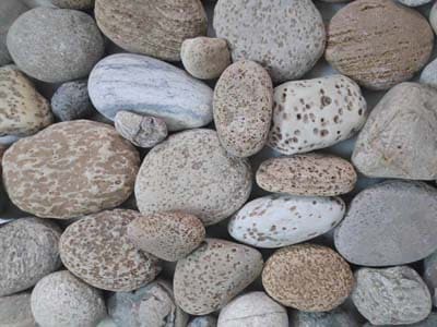 antique-natural-north-indian-river-multi-colour-size-pebbles-outdoor-landscaping-purpose-exporter-supplier-trader-manufacturer
