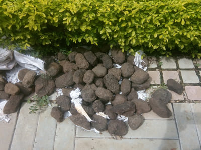 black-basalt-natural-pebbles-garden-home-nature-outdoor-landscape-driveway-pathway-stones-exporter-trader-supplier-manufacturer