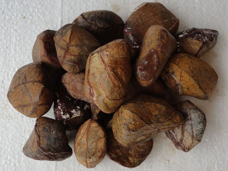 forest-brown-wet-look-marble-natural-pebble-pavement-decorative-garden-stones