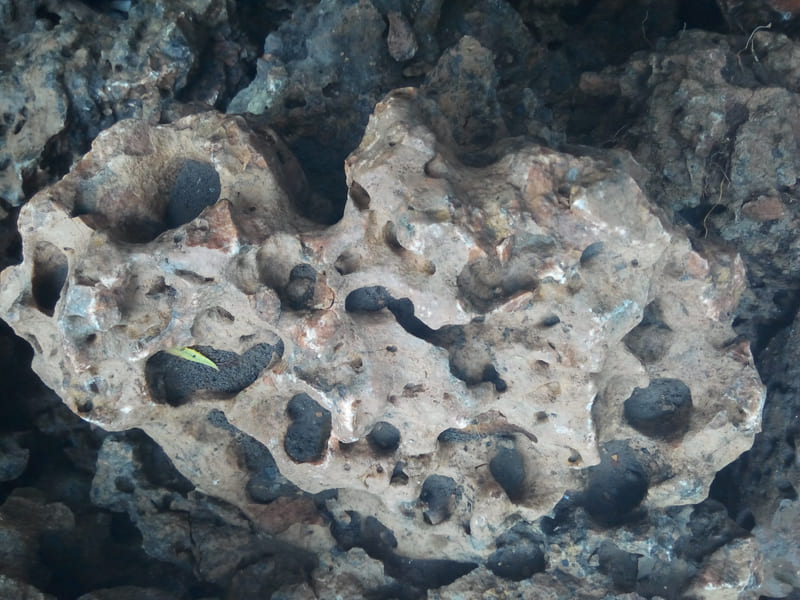 lava-stone-pavement-decorative-garden-porous-volcanic-natural-look-forest-fresh-water-rock