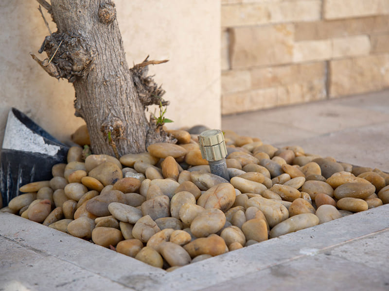 yellow-polished-pebbles-river-natural-stone-picture-image-forest-landscaping-rocks