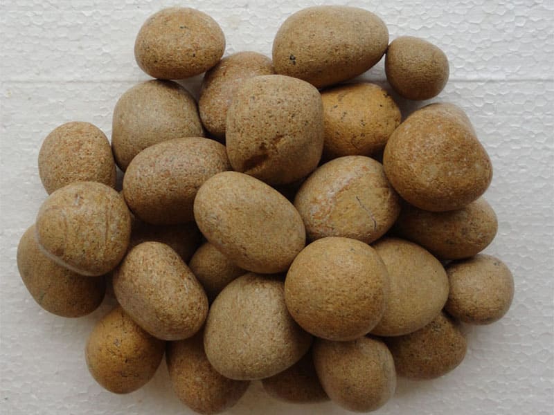 jaisalmer-yellow-wet-tumbled-pebbles-garden-home-decor-outdoor-landscape-stones