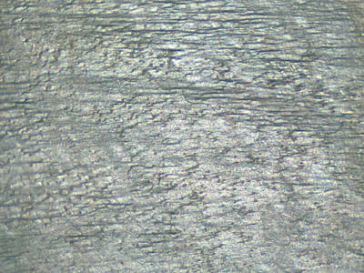 deoli-green-natural-surface-indian-slate-slate-kitchen-backsplash-cladding-tiles-exporter-trader-manufacturer-supplier